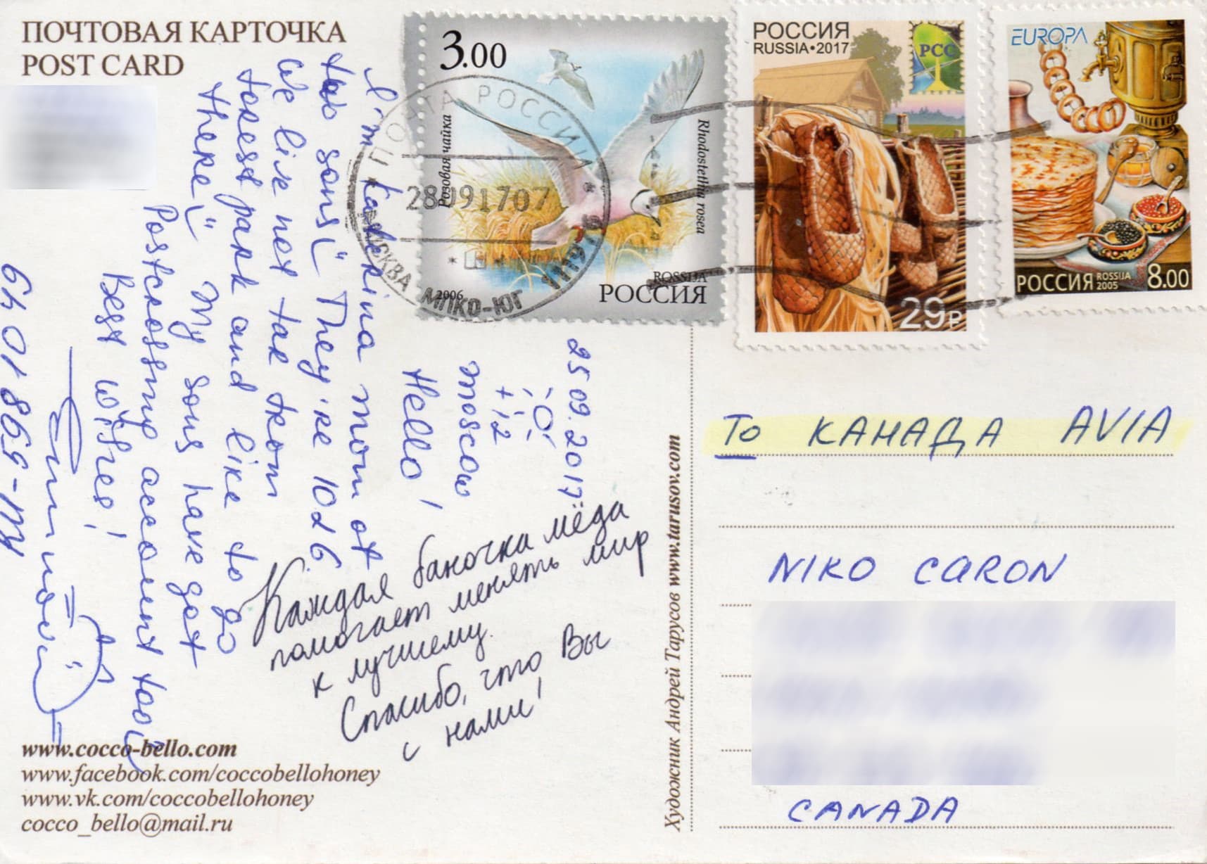 Russia card back 10